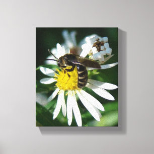 Biene und Daisy Leinwanddruck