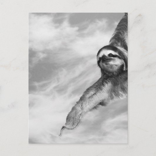 Biene und Faultier Postkarte (Vorderseite)