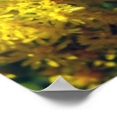 Biene und Goldenrod Poster (Ecke)