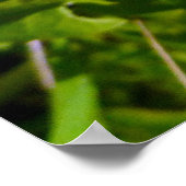 Biene und Kronen Poster (Ecke)