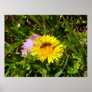Biene und Kronen Poster