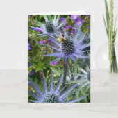 Biene und lila Blumen, Seattle, WA Karte (Vorderseite)