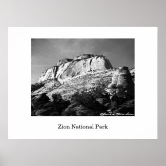 Biene und Monolith Poster