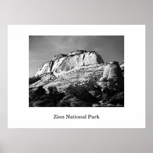 Biene und Monolith Poster (Vorne)