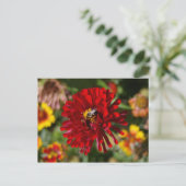 Biene und Rote Zinnia-Postkarte Postkarte (Stehend Vorderseite)