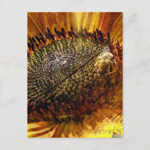 Biene und Sonnenblume Postkarten-Digitalkunst Postkarte