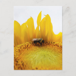 Biene und Sonnenblumen Postkarte