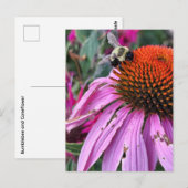Biene und Sonnenhut  Postkarte (Vorne/Hinten)