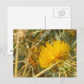 Biene und Star Thistle (Centaurea solstitialis) Postkarte (Vorne/Hinten)
