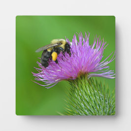 Biene und Thistle Foto Plaque Fotoplatte