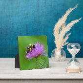 Biene und Thistle Foto Plaque Fotoplatte (InSitu)