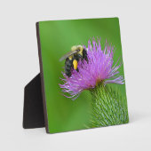 Biene und Thistle Foto Plaque Fotoplatte (Vorderseite)