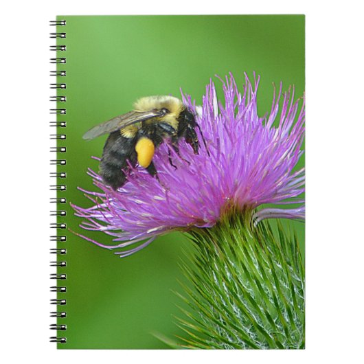 Biene und Thistle-Notebook Notizblock (Vorderseite)