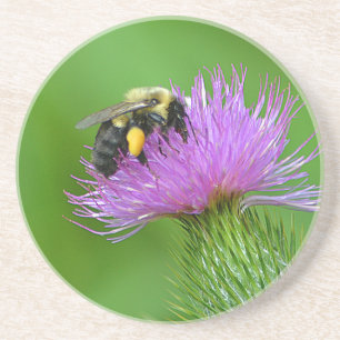 Biene und Thistle Sandstone Untersetzer