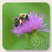 Biene und Thistle Untersetzer (Vorderseite)