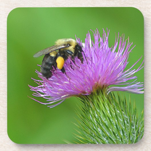 Biene und Thistle Untersetzer (Vorderseite)