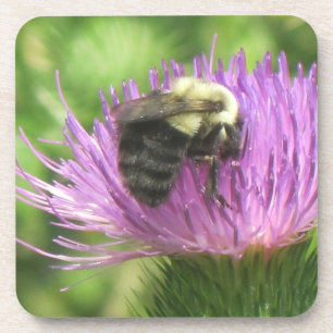 Biene und Thistle-Untersetzer Untersetzer