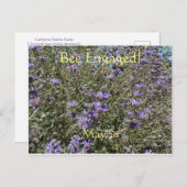 Biene Verlobt: Weltbienentag Postkarte (Vorne/Hinten)