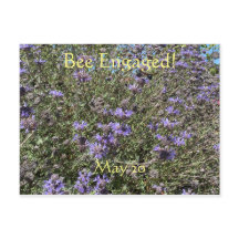 Biene Verlobt: Weltbienentag Postkarte