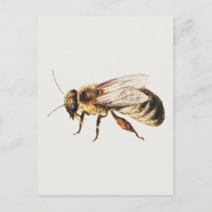 Biene von Blatt der Studien von neun Insekten  Postkarte
