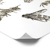 Biene Zeichnend Poster (Ecke)