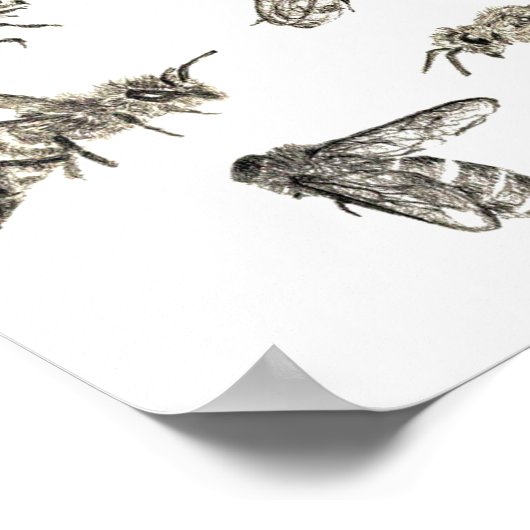 Biene Zeichnend Poster (Ecke)