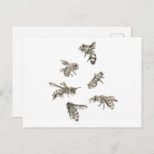 Biene Zeichnend Postkarte (Vorne/Hinten)