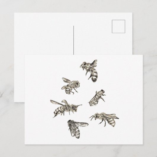 Biene Zeichnend Postkarte (Vorne/Hinten)