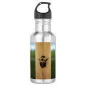 Biene-zilla Edelstahlflasche (Vorderseite)