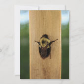 Biene-zilla Einladung (Vorderseite)