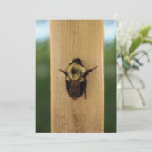 Biene-zilla Einladung (Stehend Vorderseite)