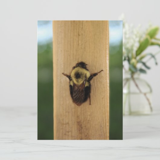 Biene-zilla Einladung (Stehend Vorderseite)