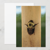 Biene-zilla Einladung (Vorne/Hinten)