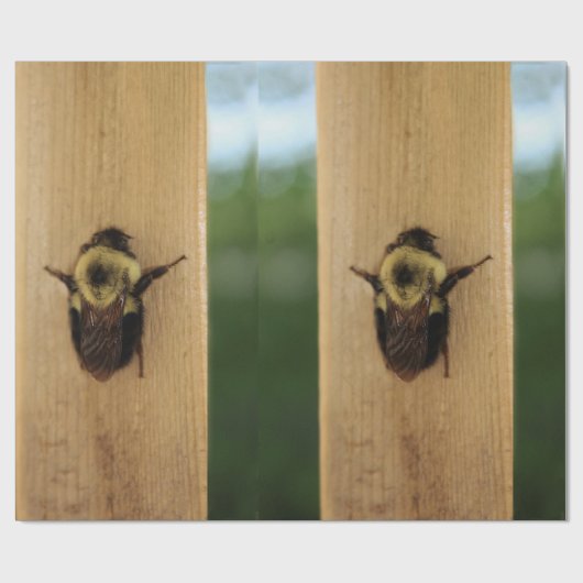 Biene-zilla Geschenkpapier (Flach)