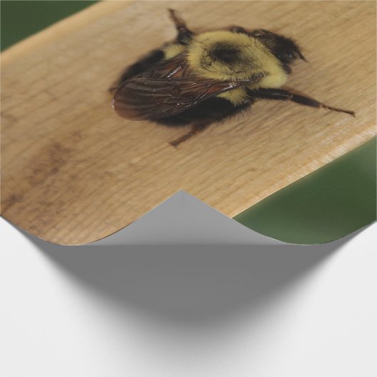 Biene-zilla Geschenkpapier (Ecke)