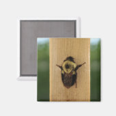 Biene-zilla Magnet (Vorderseite/Rückseite)