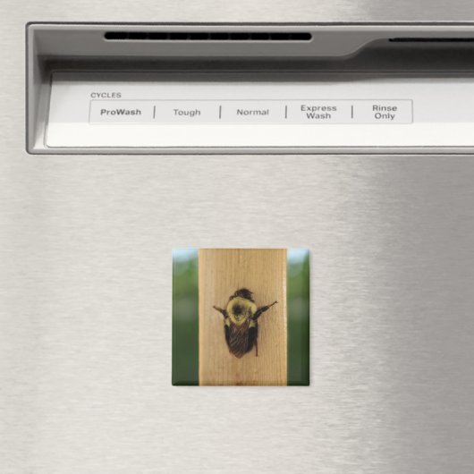 Biene-zilla Magnet (In Situ (Geschirrspüler))