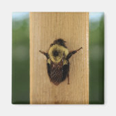 Biene-zilla Magnet (Vorne)