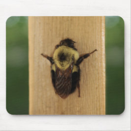 Biene-zilla Mousepad