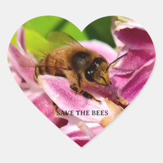 Biene zwischen rosa Blüten Naturfoto Sticker