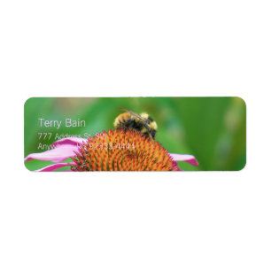 BieneEchinacea