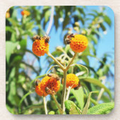 Bienen am Arbeitsplatz Getränkeuntersetzer (Vorderseite)