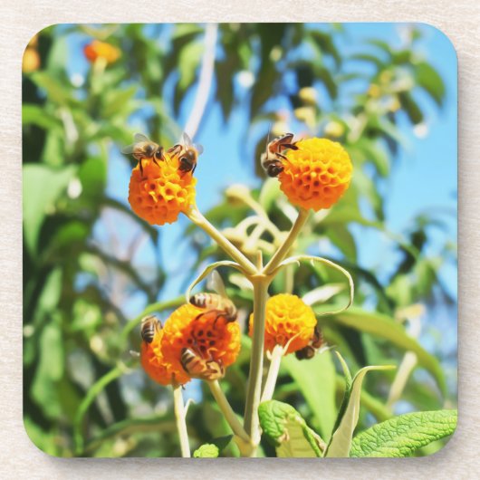Bienen am Arbeitsplatz Getränkeuntersetzer (Vorderseite)