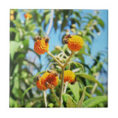 Bienen am Arbeitsplatz Keramik Tile Fliese (Vorderseite)