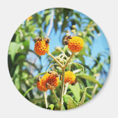 Bienen am Arbeitsplatz Magnet (Vorne)