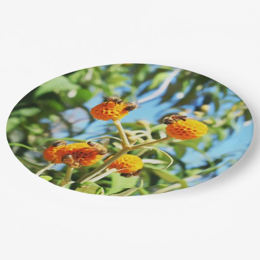 Bienen am Arbeitsplatz Pappteller (Schrägansicht)