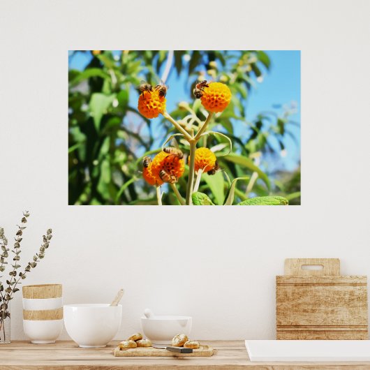 Bienen am Arbeitsplatz Poster (Küche)