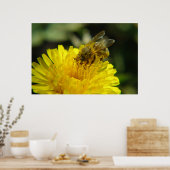 Bienen am Arbeitsplatz-Poster Poster (Küche)