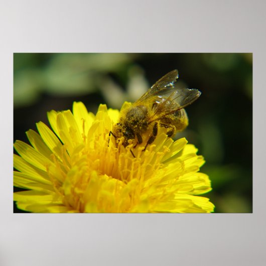 Bienen am Arbeitsplatz-Poster Poster (Vorne)