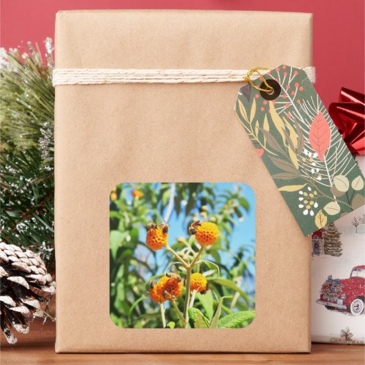 Bienen am Arbeitsplatz Quadratischer Aufkleber (Feiertag)